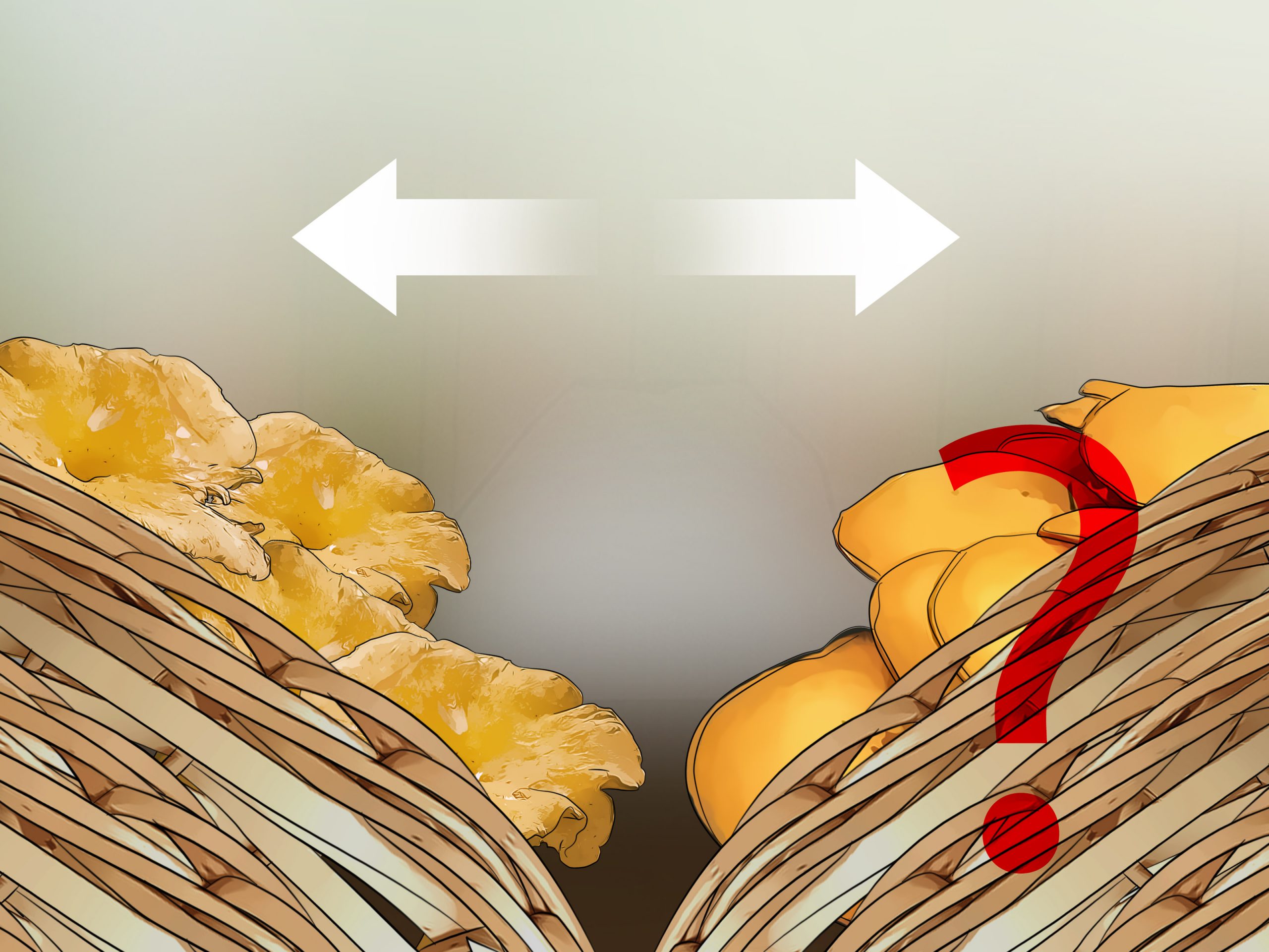 3 Ways to Identify Poisonous Mushrooms